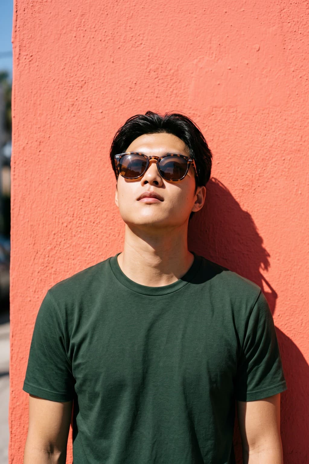 ตัวอย่างธีม Sunglasses Advert